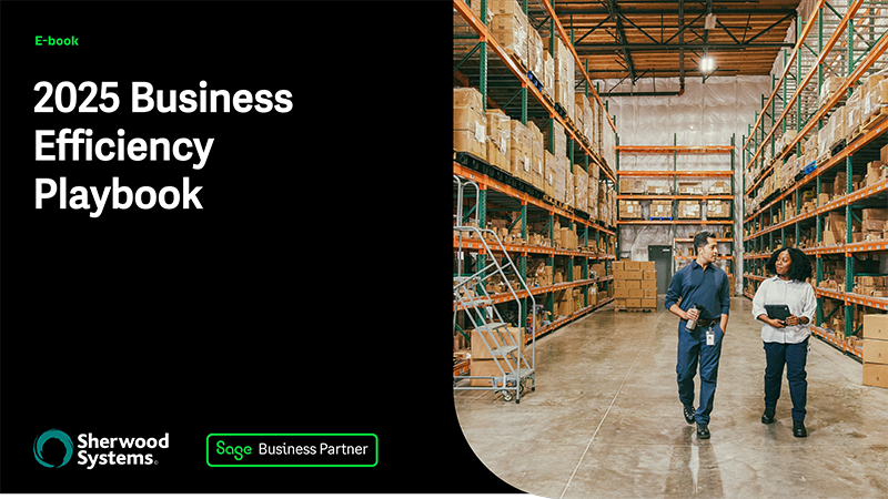 2025 Business Efficiency Playbook-1